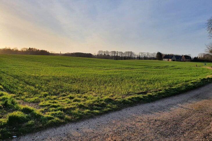 photo_2022-04-05_18-17-26