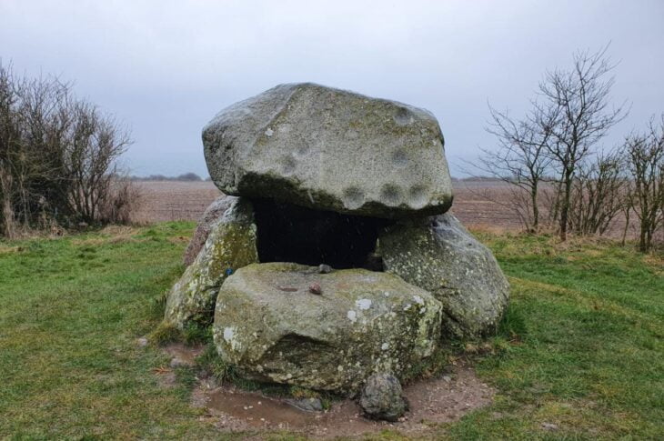 photo_2022-04-06_16-24-37