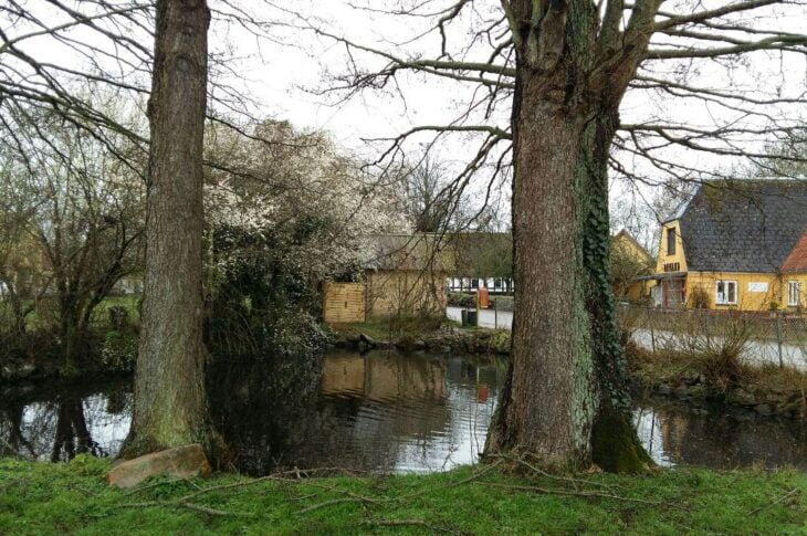 photo_2022-04-06_21-31-08